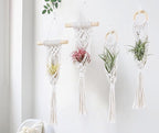4 Pack Air Plants Holders, Wall Planters for Indoor Plants | Macrame Plant Hanger, Air Plant Hanger for Air Fern, Tillandsias (for Air Plant, NO Plant Included)