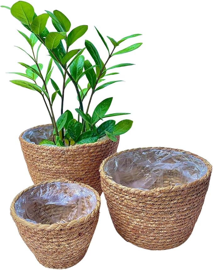 Woven Seagrass Plant Basket Without Handles | Decorative Planter for Small-Space Living or Natural Home Styling | Perfect for Living Room, Balcony, Patio, Kitchen or Gadren (Set of 3)