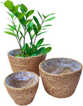 Woven Seagrass Plant Basket Without Handles | Decorative Planter for Small-Space Living or Natural Home Styling | Perfect for Living Room, Balcony, Patio, Kitchen or Gadren (Set of 3)