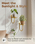 Leaf&lull Wall Plant Holder Planter with Wall Planters for Indoor Plants Plant Hanger Hanging Plant Holder Wall Hanging Decor 2 Pack Golden