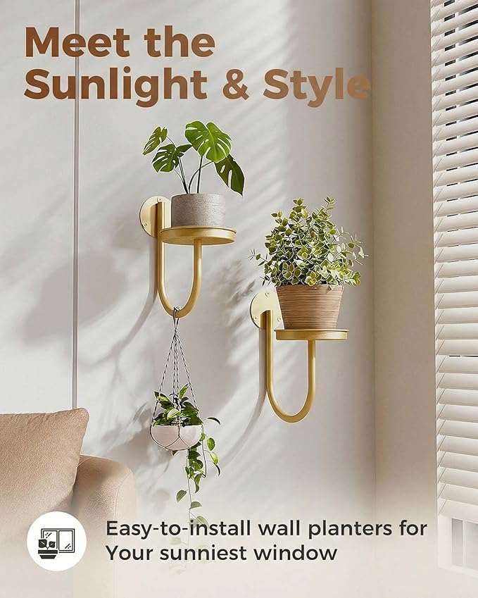 Leaf&lull Wall Plant Holder Planter with Wall Planters for Indoor Plants Plant Hanger Hanging Plant Holder Wall Hanging Decor 2 Pack Golden