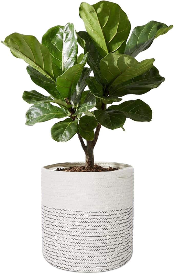Flexzion Modern Urban Boho Cotton Rope Basket Indoor Planter Holder (Up to 11 Inch Flower Pot) Macrame Woven Storage Organizer Bin with Handles Home Decor Storage Basket 12" x 12"