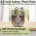 ZeeDix 3 Pack Self Watering Hanging Planters, 6.5 Inch Indoor Plant Pots with 3 Hooks Visible Water Level and Drainage for Home, Wall, Window Decor Outdoor Use(Starry Gray)