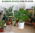 ARTORA Small Wood Plant Stand, Mid Century Modern Succulents Plant Pot Holder Decorative Planter Stand for Small Indoor Plants (Natural)