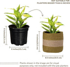 Jute Planter Basket-Woven Jute Rope Covers for Decorating Indoor/Outdoor Succulents, Small Plant Pots-Set of 2-Multi-Purpose Storage Bins 6.5 Inches - Modern Style Décor- Olive & Natural