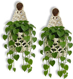 Macrame Plant Hanger Set of 2, Boho Wall Hanging Planter for Up to 6 Inch Pots - Handwoven Cotton Rope Wall Decor with S-Hooks for Indoor Plants in Living Room, Bedroom & Office