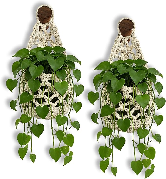 Macrame Plant Hanger Set of 2, Boho Wall Hanging Planter for Up to 6 Inch Pots - Handwoven Cotton Rope Wall Decor with S-Hooks for Indoor Plants in Living Room, Bedroom & Office