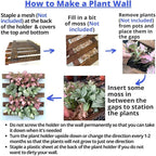ShopLaLa Wall Planter - 2 Pack Wooden Hanging Succulent Wall Decor, Live Air Plants Orchids Wall Mounted Holder Frame Display for Indoor Outdoor, Living Plant Wall Decor Balcony Garden