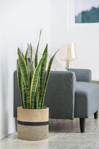 Dahey Jute Rope Plant Basket Modern Woven Storage Basket for 10.5" Indoor Planter, Decorative Flower Pots Cover Laundry Bin with Handle Rustic Home Decor, Black