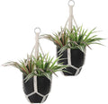 JIEYAO 2 Pack Handmade Macrame Plant Hangers, 19.6 Inch Cotton Hanging Planters Baskets Plant Holder Boho White Rope Flower Pot Holders for Outdoor Indoor Decor