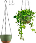 Set of 2 Hanging Planters for Indoor Outdoor Plants, 8 Inch Self-Watering Hanging Flower Pots with Drainage Hole & Removable Water-Storage Tray (Hooks)