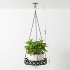 Hanging Planter with Metal Chain & Wall Hook, Stylish Indoor Outdoor Plant Hanger with 11 Inch Pot for Patio, Balcony, Porch Home Decor