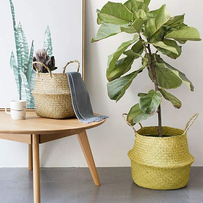 Newooh Craft Small Seagrass Belly Basket for Storage, Laundry, Picnic and Woven Straw Beach Bag - Plant Pots Cover Indoor Decorative