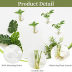 XXXFLOWER Wall Hanging Glass Terrariums，Clear Planters Propagation Station Glass Flower Vase,Air Plant Terrariums for Hydroponic Plants,Home Office Decor,Gifts,Heart-Shaped Set of 4