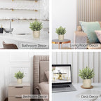 Hopewood Faux Plants, Fake Plants Eucalyptus Potted for Home Office Desk, Artificial Eucalyptus with a Weave Basket for Indoor Greenery Tabletop