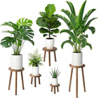 5-Pack Wood Plant Stands Indoor, Single Plant Stand for 6-22 Inch Pots, Mid-Century Modern Plant Stool, Tall Plant Stand for Large Plants Perfect Fit for Living Room, Balcony, Office(Dark Brown)
