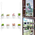 2-Pack Clear Hanging Window Plant Shelves, 2-Tier Indoor Wall Plant Stand Flower Display Organizer Storage for Microgreens,Succulents,Flower,16-Inch