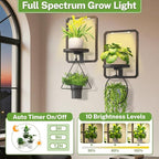 iDavosic.ly Wall Plant Picture Frame Holder Set of 2 with 2 Grow Light for Indoor, Metal Stand with Hanging Hooks, Space Saving Floating Flower Display Decor (Pots/Chains/Plants Not Included)