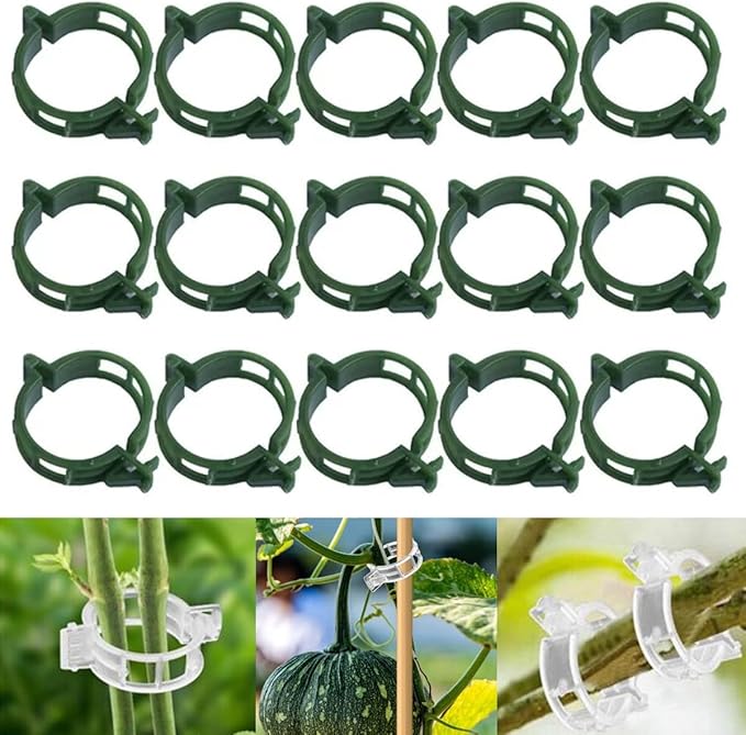 Thickened Plant Fixing Clip 100Pcs, 2025 Summer New Tomato Grape Vine Vegetables Plant Fixing Clips, Upgrade Plant Support Clips Reusable Garden Clips Secured Plastic Plant Clip (50, Green)