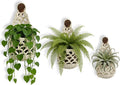Macrame Plant Hanger Set of 3, Boho Wall Hanging Planter for 4-6 Inch Pots - Handwoven Cotton Rope Wall Decor with S-Hooks for Indoor Plants in Living Room, Bedroom & Office