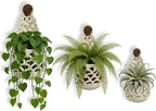 Macrame Plant Hanger Set of 3, Boho Wall Hanging Planter for 4-6 Inch Pots - Handwoven Cotton Rope Wall Decor with S-Hooks for Indoor Plants in Living Room, Bedroom & Office