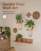 Leaf&lull Wall Plant Holder Planter with Wall Planters for Indoor Plants Plant Hanger Hanging Plant Holder Wall Hanging Decor 2 Pack Golden
