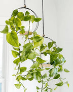 Plant Hangers Indoor with Wood Base -2 Pack Boho Macrame Hanging Plant Holder for Indoor Plants Hanging Planter for Wall/Window/Room Decor Black (Pot & Plant Not Included)