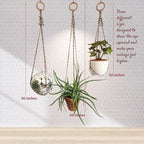 Set of 3 Macrame plant hanger for pots 4-10” live plants indoor and outdoor decor hanging plant holder Boho décor Plant stand Indoor plant shelf for Hanging planter for plant pots (Coffee Corner)