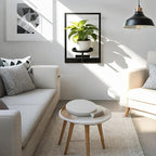 Wall Hanging Plant Stands Planter Shelves, Indoor Outdoor Window Plant Hanger Decor for Living Room Entryway (White 3-Pack)