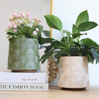 GUGUGO Pearl Beige Scale Planter, Cute Unique Plant Pot with Drainage, Eclectic Colorful Small Flower Planters Pots for Indoor & Outdoor Plants, Rainbow Funny Succulent Gardening Pot Gifts