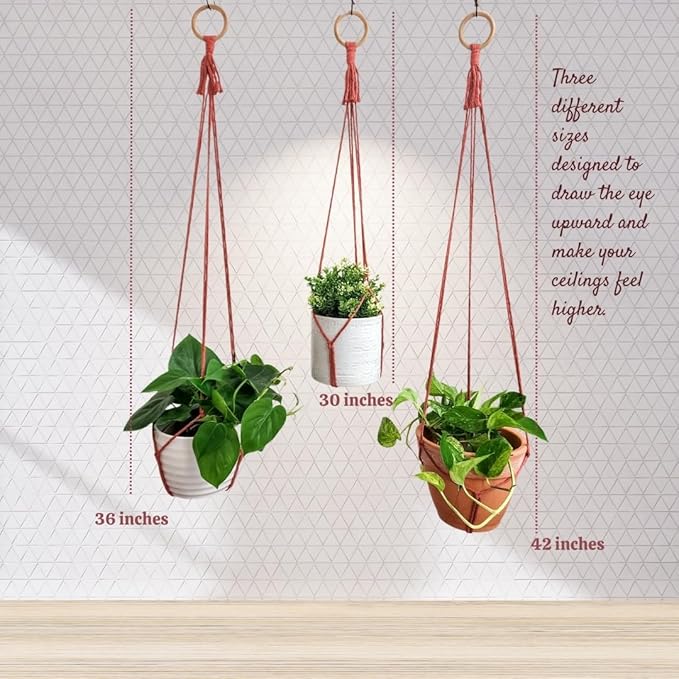 Set of 3 Macrame plant hanger for pots 4-10” live plants indoor and outdoor decor hanging plant holder Boho décor Plant stand Indoor plant shelf for Hanging planter for plant pots (Cafe Latte)