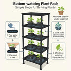 5-Tier Seed Starter Trays, Plant Stand with LED Grow Light (Auto-Timer), Bottom Watering Designed for Indoor Greenhouse Plants, Fits Small Pots & Seedling Cell Trays - Black
