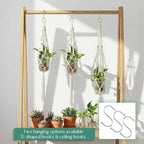 3 Pcs Plastic Plant Propagation with Boho Macrame Hanger Wall Plant Propagation Station Hanging Holder Include Hooks Kit for Indoor Home Garden Office Decor 3 Size, Beige