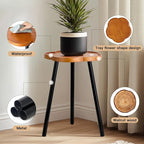 Plant Stand Indoor, Wood Plant Table Plant Holder with Raised Design,Heavy Duty Metal Flower Pot Stand, Mid Century Modern Home Decor Small Side End Table（Clr.2-Flower 20" H）