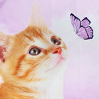 LB Funny Cat Butterfly Wall Tapestry Cute Cat with Butterfly on Fantasy Cloud Purple Sky Tapestry Animal Wall Decor for Bedroom Living Room Dorm 59Wx51L Inches