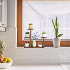 Wood Desktop Plant Stand Indoor Small Windowsill Flower Shelf Tabletop Plant Shelf Holder Display Rack for Succulent Herb in Living Room Office