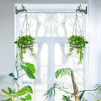 2-Pack Aesthetic Plant Hanger Indoor and Outdoor – 10 Inch Metal Hanging Plant Bracket with Beautiful Bird Pattern – Anti Rust Plant Hooks for Hanging Plants, Bird Feeder, Wind Chime, Lantern