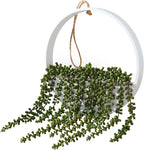 Floweroyal Artificial Succulents Hanging Plants 20.1'' Fake String of Pearls in Pot with 9.4'' Lanyard for Indoor Outdoor Wall Decor (Large).