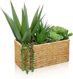Hollyone Artificial Succulent Plant Arrangement Centerpiece Assorted Fake Agave Succulents in Rectangular Woven Basket 12" Faux Potted Succulents for Indoor Home Office Table Windowsill Shelf Decor