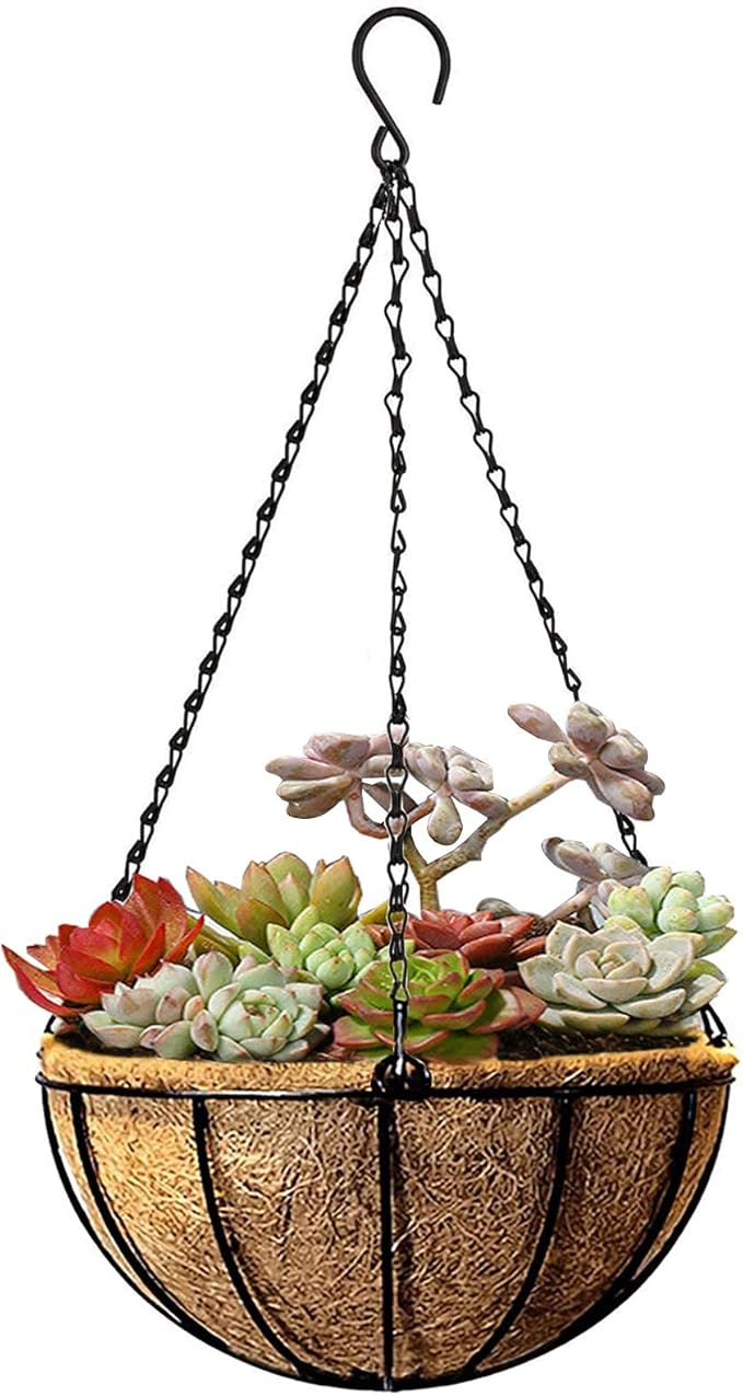 Kingbuy 8" Metal Hanging Plant Baskets with Coconut Liner (1 Pack) - Farmhouse Wire Planters Flower Pots for Plants Ferns Indoor Outdoor Balcony Patio Garden Decoration