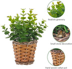2 Pack Small Fake Plants Eucalyptus Potted Artificial Plant for Table,Bathroom,Farmhouse, Home Décor