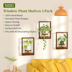 NATURE'S SOURCE Hanging Planters for Indoor Plants Wall Decor, Wooden Floating Shelves for Wall Planter, Window Plant Shelves Hold 22 lbs, Farmhouse Decor 16.5" x 11.8" (3 Pack)