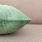 NiNi ALL Decorative Throw Pillow Covers Pack of 2, Velvet Cushion Case for Couch Bedroom Living Room Outdoor, Pillow Covers 20x20 Inch（50 x 50 cm） Sage Green