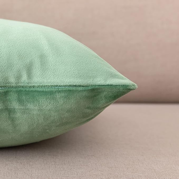 NiNi ALL Decorative Throw Pillow Covers Pack of 2, Velvet Cushion Case for Couch Bedroom Living Room Outdoor, Pillow Covers 20x20 Inch（50 x 50 cm） Sage Green