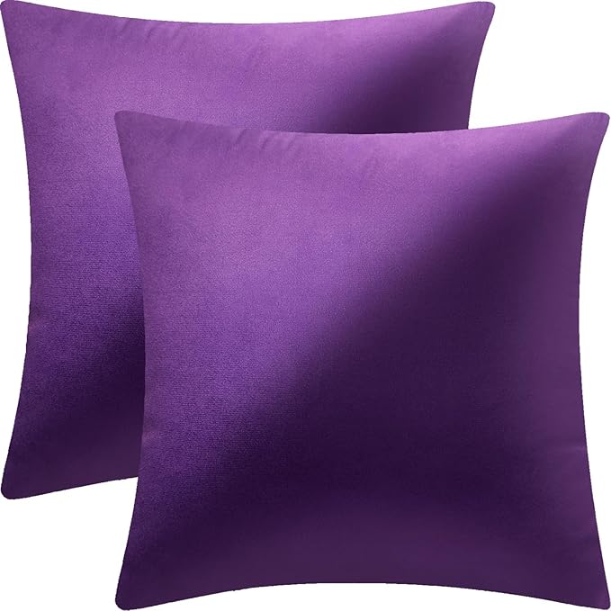 2 Pack 18x18 Pillow Cover Velvet Pillow Covers, Square Throw Pillow Covers for Living Room Decorations Throw Pillow Case, Throw Pillow Cover Cushion Cover for Sofa Bedroom Car, Eggplant Purple