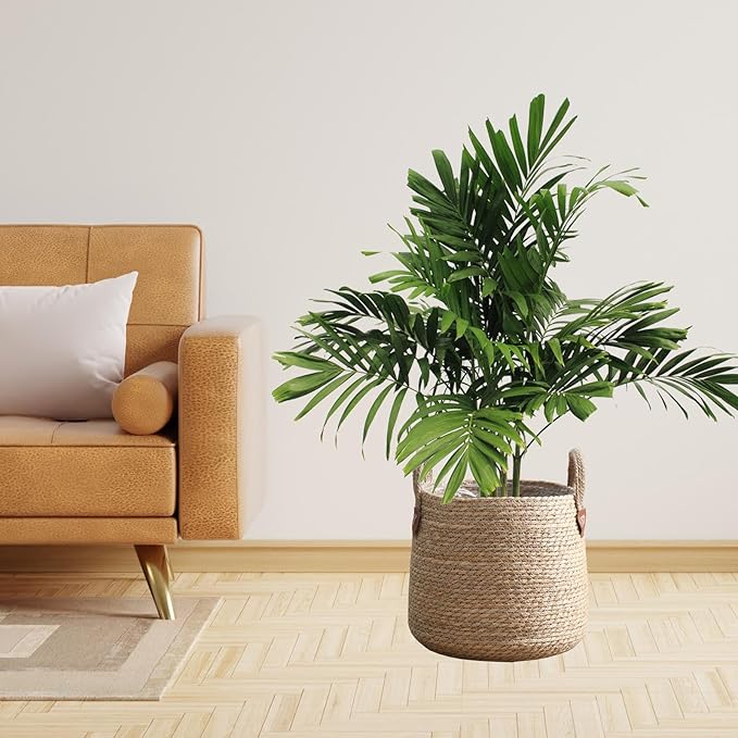 Woven Plant Basket Decorative Storage Basket Large Capacity Flower Pots Plant Container for Lawn Yard Balcony Home Windowsill, S