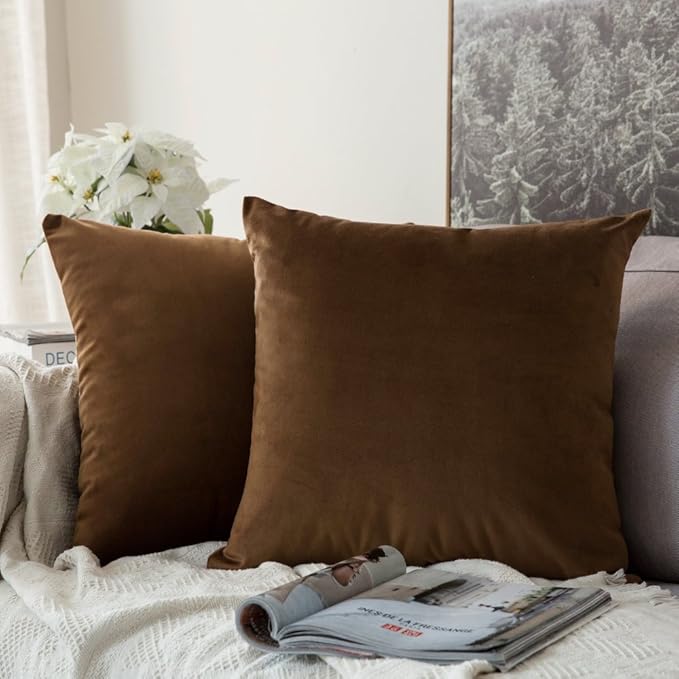 MIULEE Velvet Throw Pillow Covers 20x20 Inch, Pack of 2 - Chocolate, Super Soft Decorative Square Cushion Cases Modern Luxury Home Decor for Sofa,Couch,Bed,Chair