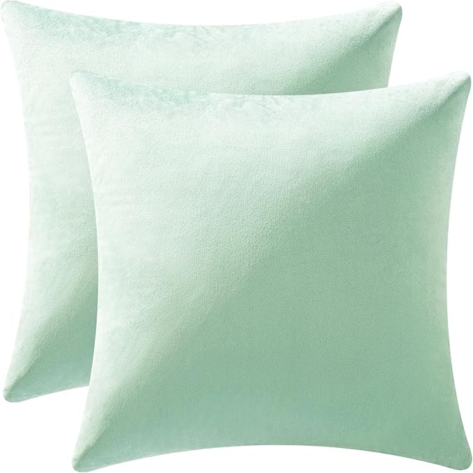 MIULEE Velvet Throw Pillow Covers 18x18 Inch, Pack of 2 - Mint Green, Soft Solid Decorative Pillow Covers Cushion Cases Modern Luxury Home Decor for Spring Couch Sofa Bedroom Livingroom
