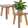 2 Pack Wooden Plant Stand Indoor 9.25” Small Plant Stool Square Wood Plant Stand for Large Plants Sturdy and Stable Flower Pot Stand Holder for Living Room, Balcony, Office, Holds 300 lbs