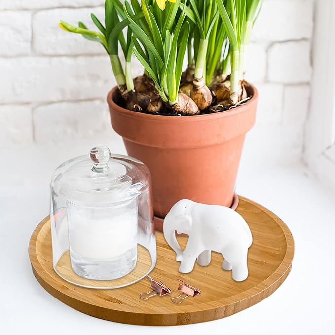 2 Pack Bamboo Saucer, 10.5 inch Plant Saucer, 10" Cactus Plant Tray, Round Bamboo Tray for Modern Ceramic Flower Pot, Planter Pot Tray, Also Use Cup Holder, Spoon Holder, Kitchen Utensil Rest